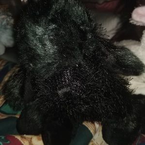Webkinz Black Poodle